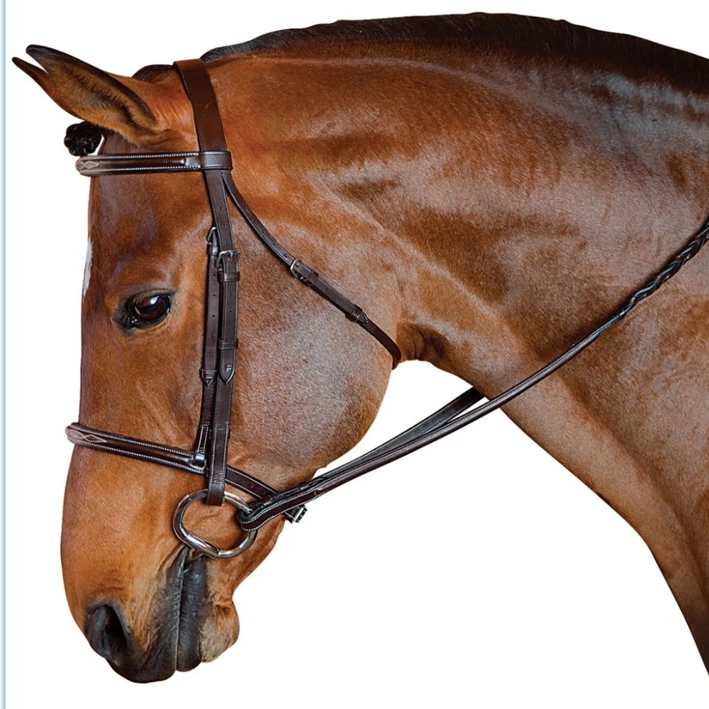 M Toulouse MTL Standard Hunter English Bridle